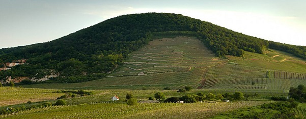 Tokaji hill resize